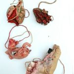 Gory Halloween Props Realistic Hanging Life Size body Heart Lungs Foot Organ