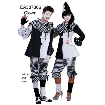 women's Clown Costume