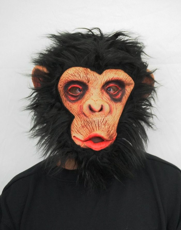 Monkey Mask with hair4