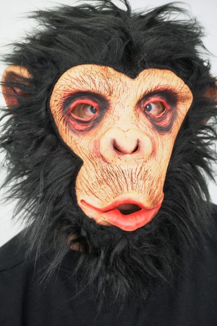 Monkey Mask with hair2
